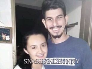 SNAKEANDBUNNY