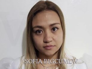 SOFIA_BIGCUMLW