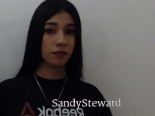 SandySteward