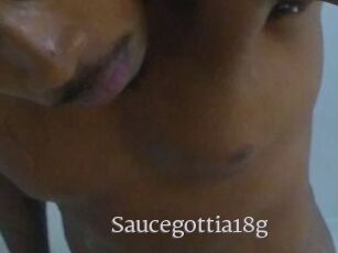 Saucegottia18g