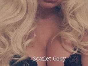 Scarlet_Grey