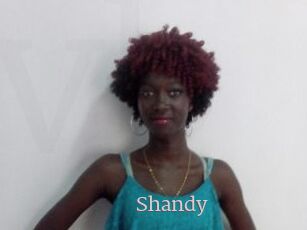 Shandy