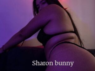 Sharon_bunny