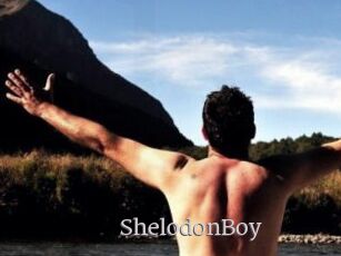 ShelodonBoy