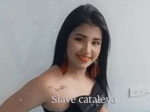 Slave_cataleya