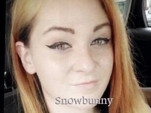 Sn0wbunny