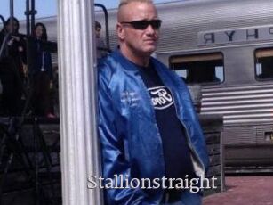 Stallionstraight