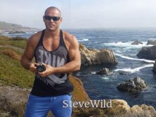 Steve_Wild