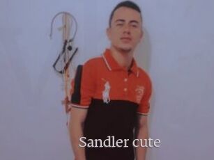 Sandler_cute