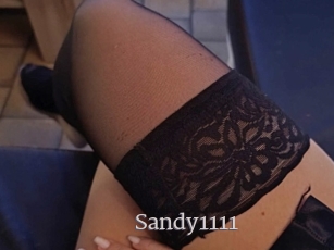 Sandy1111
