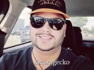 Senorgecko