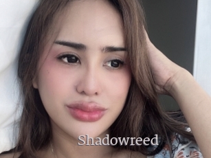 Shadowreed