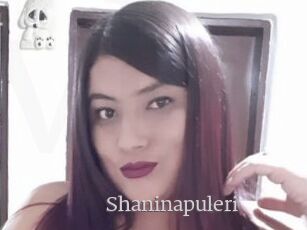 Shaninapuleri