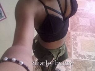 Sharlot_bunny