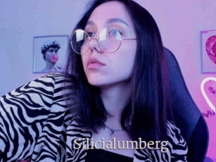Silicialumberg