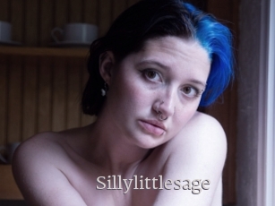 Sillylittlesage