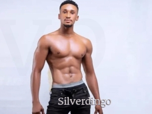Silverdingo