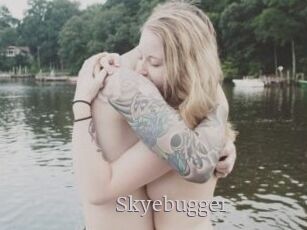 Skyebugger