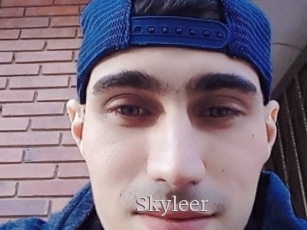 Skyleer