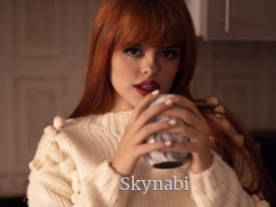 Skynabi