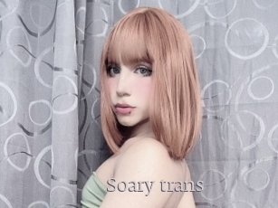 Soary_trans