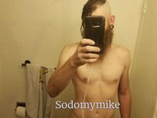 Sodomymike