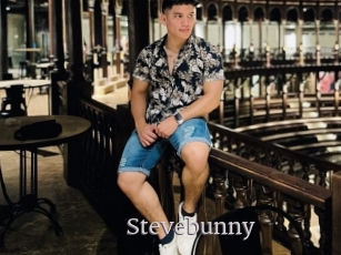 Stevebunny