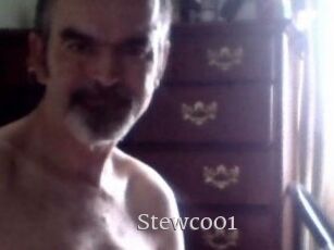 Stewco01
