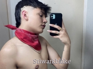 Stiwarkblake