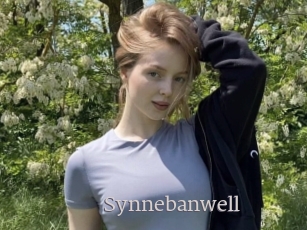 Synnebanwell