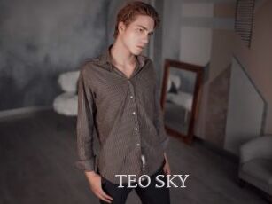 TEO_SKY