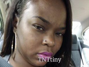 T_N_Ttiny