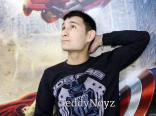 TeddyNoyz