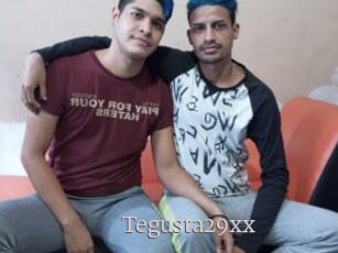Tegusta29xx