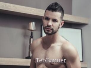 TeoBanner