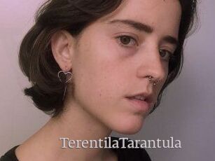 TerentilaTarantula