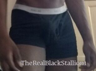 TheRealBlackStallion1