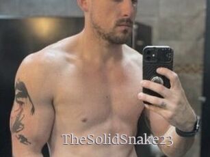 TheSolidSnake23