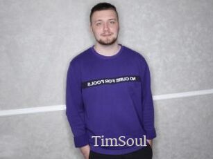 TimSoul