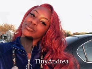 TinyAndrea