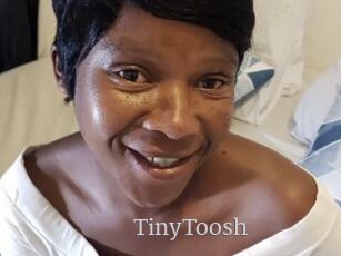 TinyToosh
