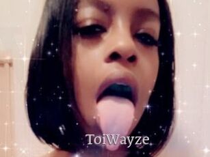 ToiWayze