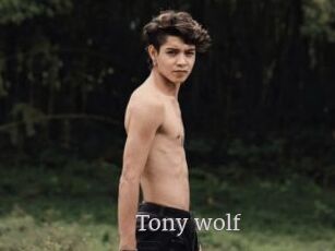 Tony_wolf