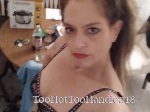 TooHotTooHandle018
