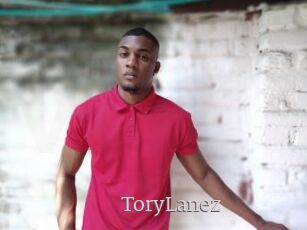 ToryLanez