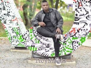 TroyMeeks