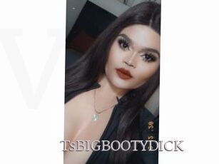 TsBIGBOOTYDICK