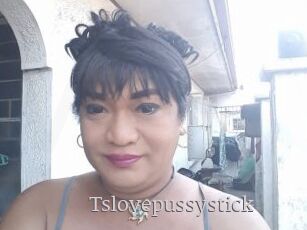 Tslovepussystick