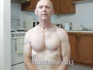 Tumbleweed13