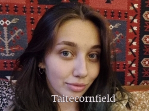 Taitecornfield